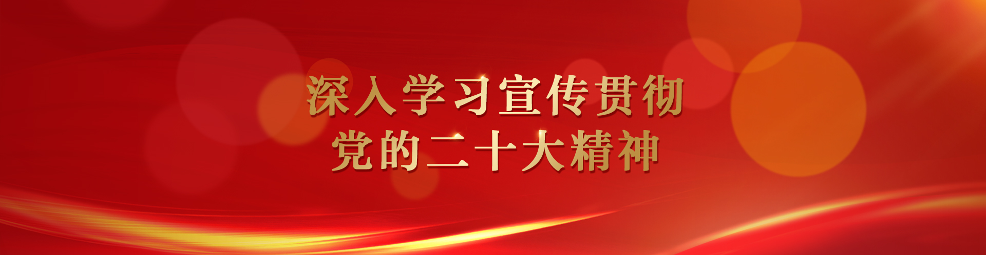 深入學習宣傳貫徹黨的二十大精神